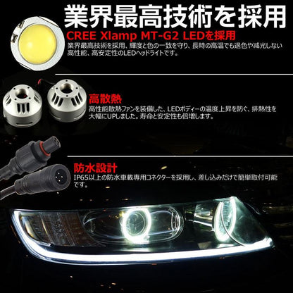 安心1年保証 3200LM LED ヘッドライトキット 6000k HB3/9005 12v/24v対応 LED ヘッドランプ 冷却用マイクロファン搭載 CREE製 LED XMT-G2チップ搭載