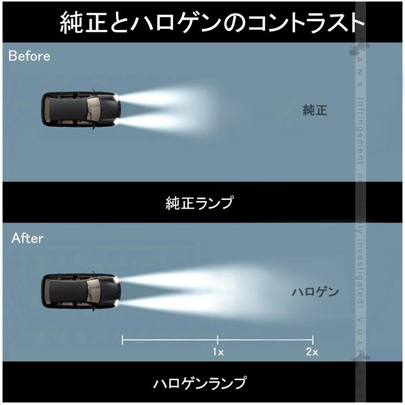 ハロゲン バルブ ランプ H4 12V 55W 6000K 2P ゴールデンイエローカラー アイドリングストップ車対応 アンバー ヘッドライト フォグランプ 汎用 車 バイク